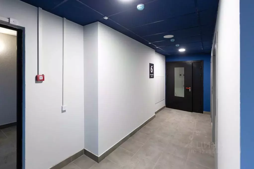 1-к кв. Ленинградская область, Мурино Всеволожский район, ул. Шоссе в ... - Фото 2