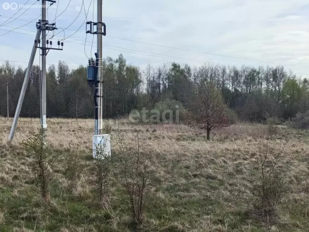 Участок в Калининградская область, Гурьевский муниципальный округ, ... - Фото 1