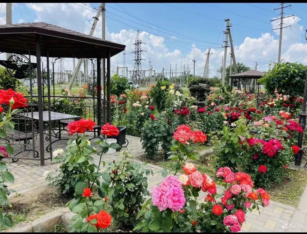 Помещение свободного назначения в Ставропольский край, Благодарный ... - Фото 0