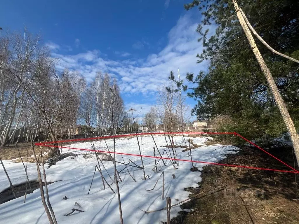 Участок в Московская область, Истра муниципальный округ, д. Павловское ... - Фото 1