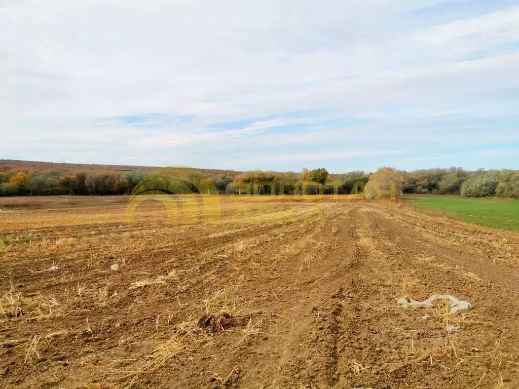 Участок в Краснодарский край, Крымский район, Адагумское с/пос, с. ... - Фото 1