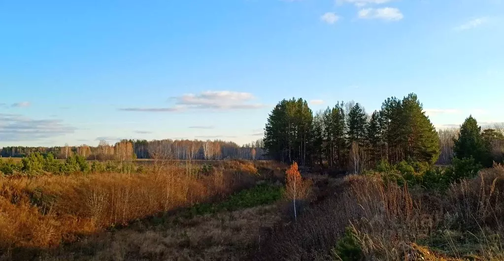 Участок в Свердловская область, Сысертский городской округ, с. Щелкун  ... - Фото 1