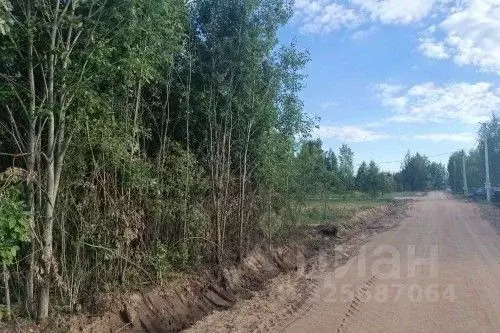 Участок в Новгородская область, Новгородский район, Ракомское с/пос, ... - Фото 2