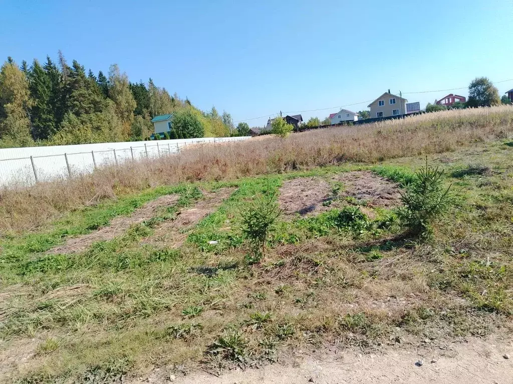 Участок в Московская область, Можайский городской округ, д. Бурмакино ... - Фото 1