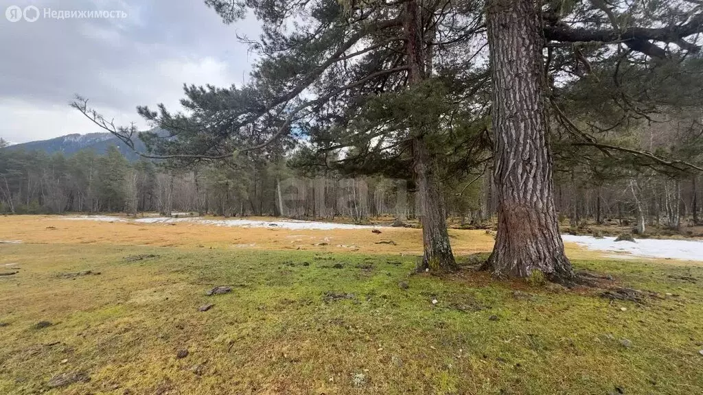 Участок в село Архыз, Зеленчукское лесничество, Архызское участковое ... - Фото 2