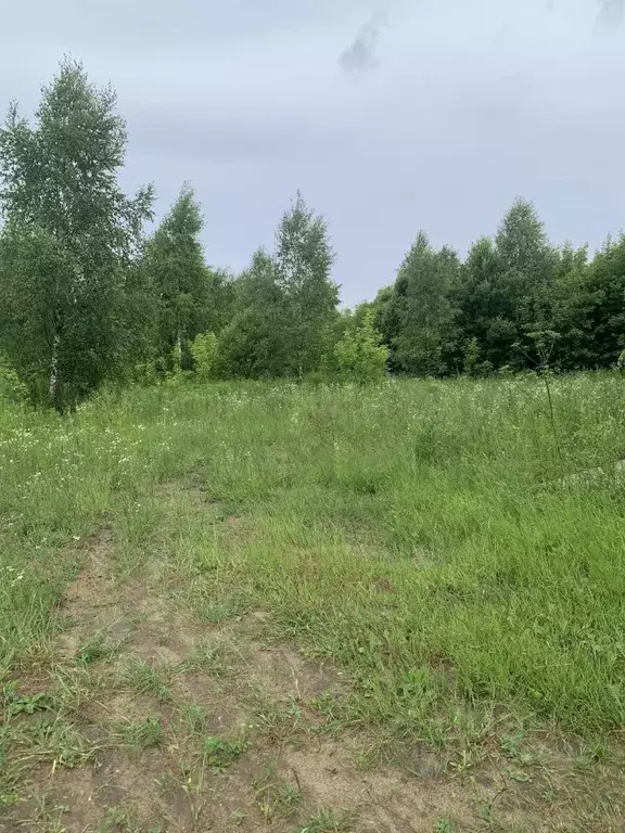 Участок в Калужская область, Перемышльский район, Большие Козлы с/пос, ... - Фото 2