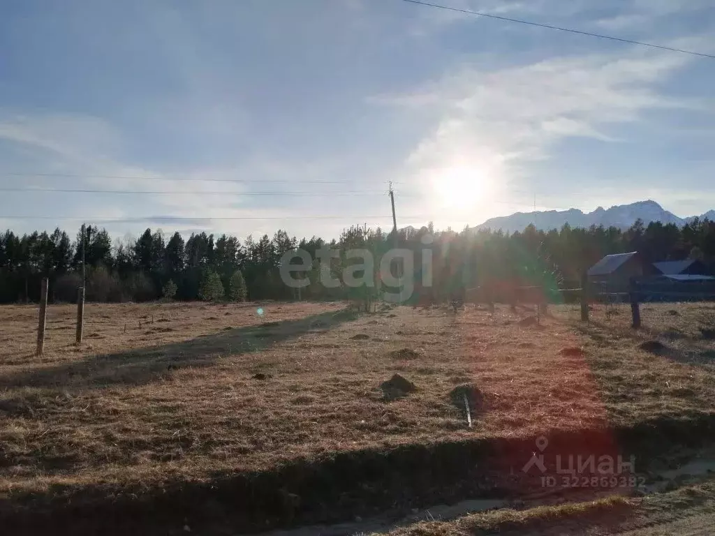 Участок в Иркутская область, Тулунский район, Аршанское муниципальное ... - Фото 2