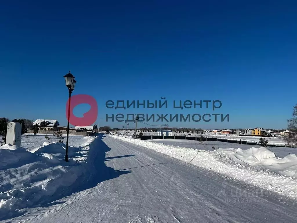 Участок в Тюменская область, Тюменский район, Новокаменский кп ул. ... - Фото 1