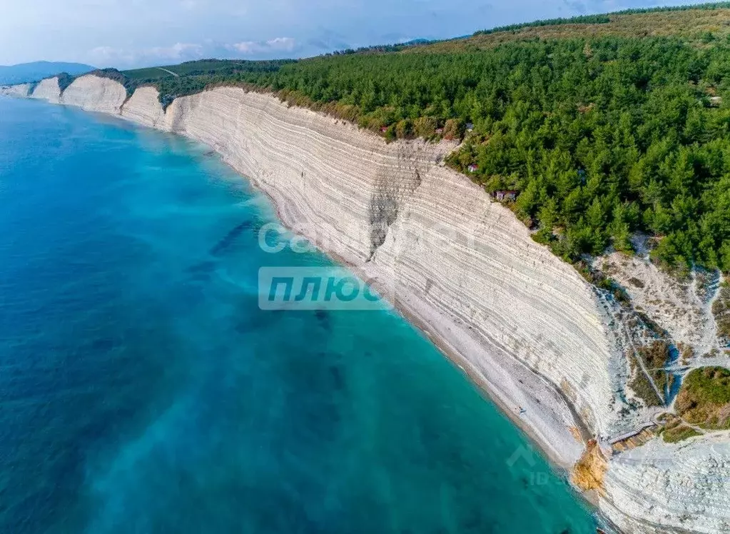 Участок в Краснодарский край, Геленджик ул. Майи Осичевой (6.3 сот.) - Фото 1