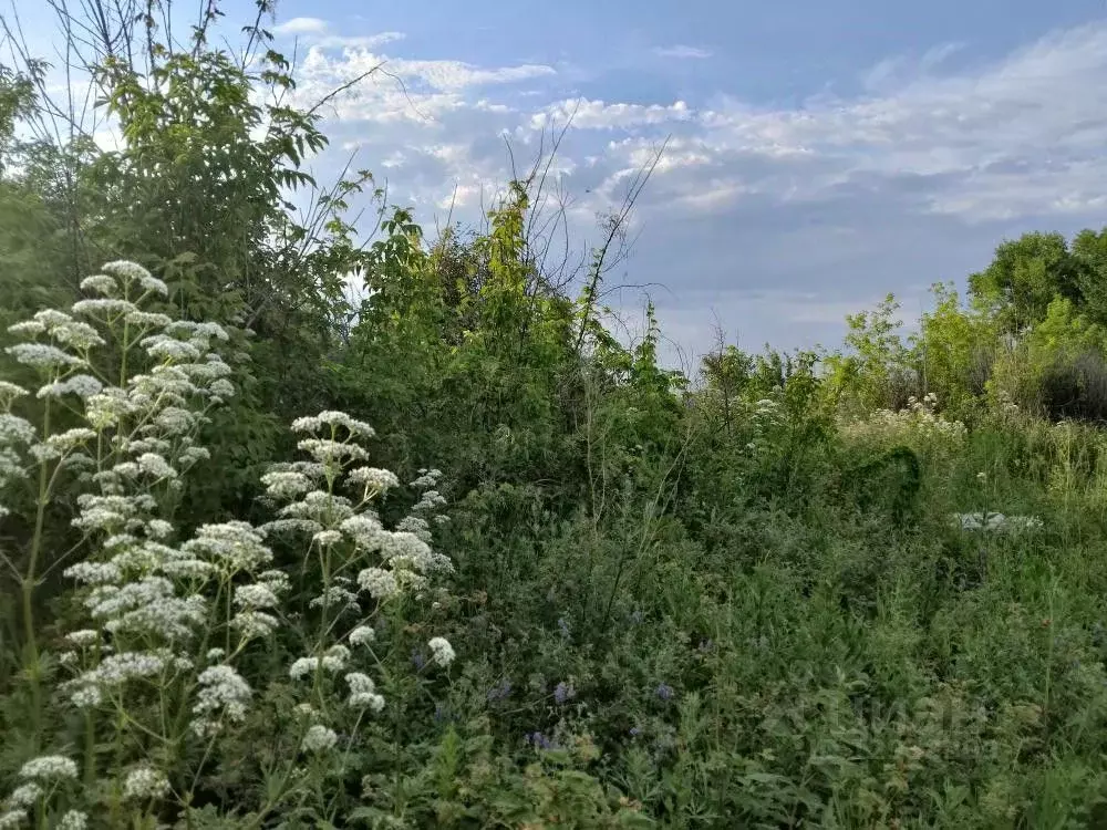 Участок в Кемеровская область, Кемерово Сухой Искитим СНТ,  (12.7 ... - Фото 1