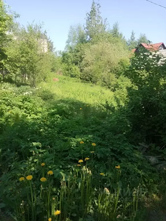 Участок в Ленинградская область, Всеволожский район, Лесколовское ... - Фото 0