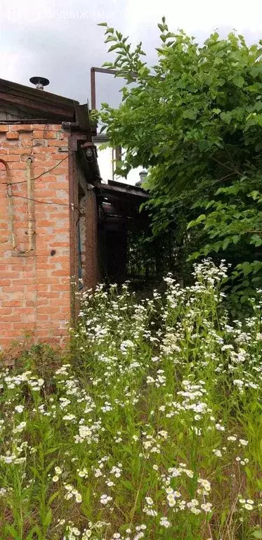 Дом в Нальчик, улица Кирова, 124 (40 м) - Фото 0