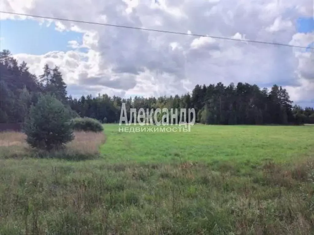 Участок в Ленинградская область, Приозерский район, Ларионовское ... - Фото 1