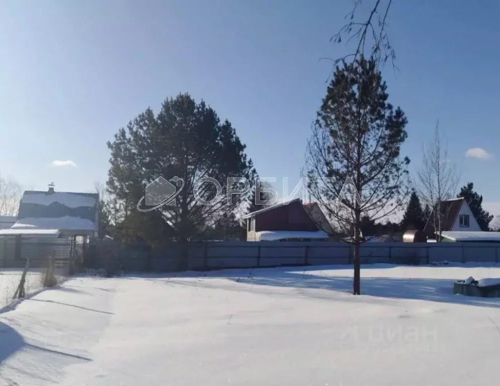 Участок в Тюменская область, Тюменский муниципальный округ, Исток СНТ ... - Фото 0