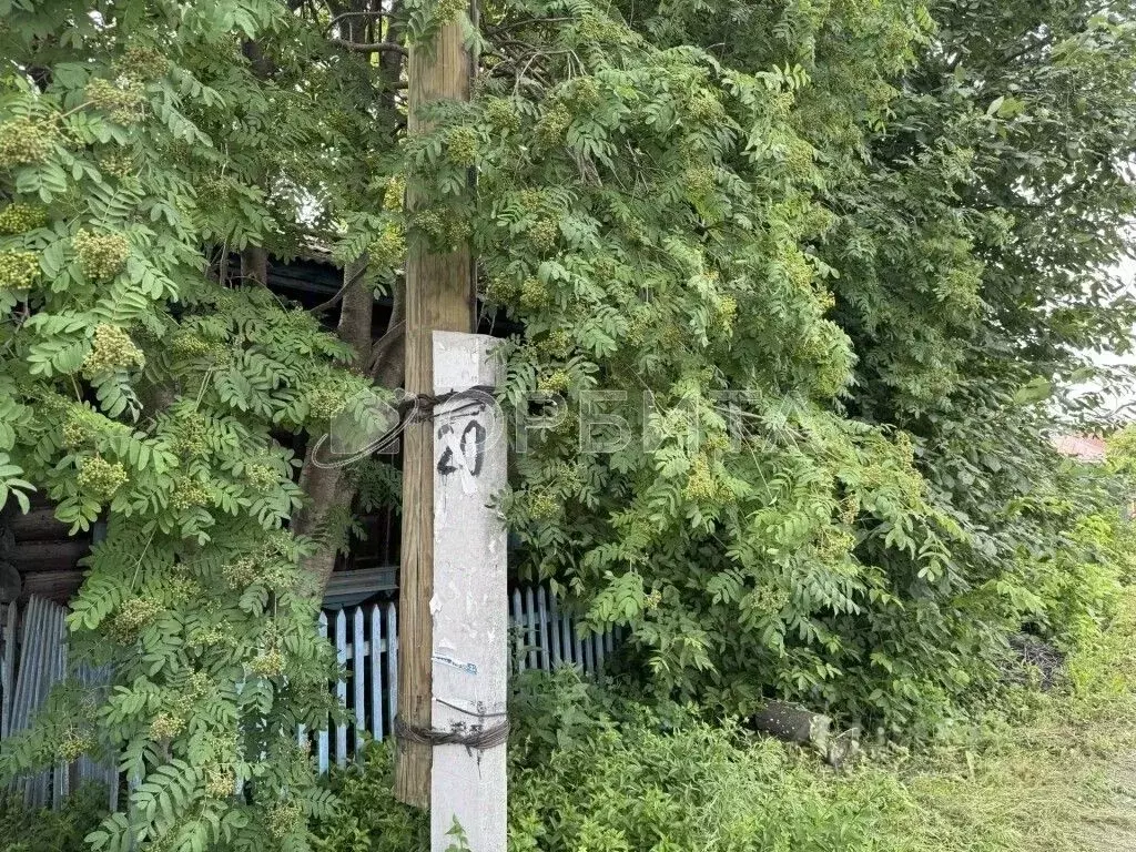 Дом в Тюменская область, Тюмень ул. Агеева, 176 (43 м) - Фото 1