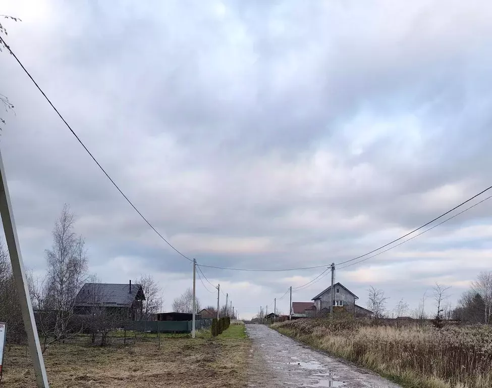 Участок в Калининградская область, Зеленоградский муниципальный округ, ... - Фото 1