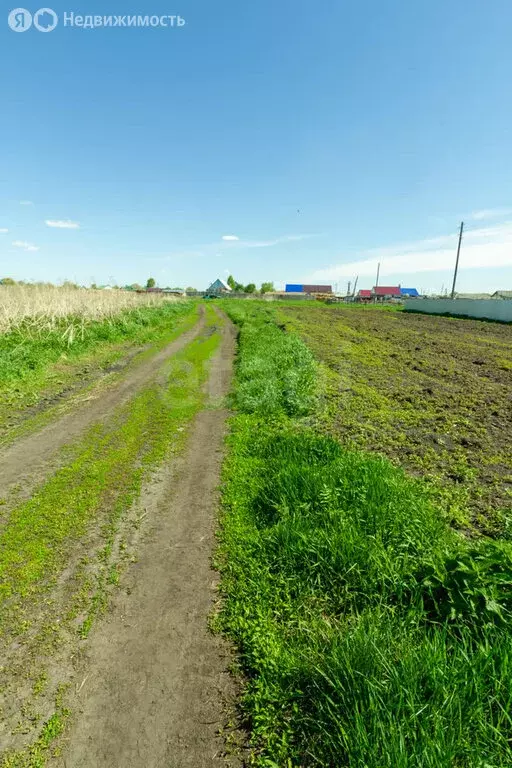 Участок в Ялуторовск, улица Филиппова (10 м) - Фото 1