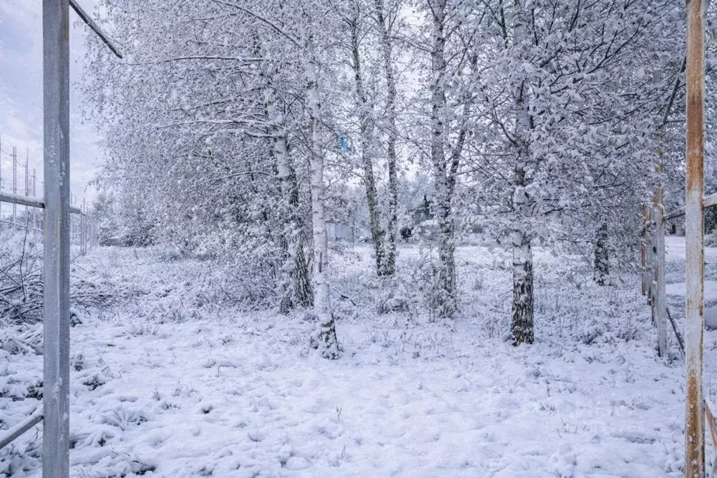 Участок в Московская область, Одинцовский городской округ, д. Бородки ... - Фото 1