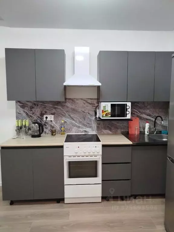 1-к кв. Ленинградская область, Всеволожский район, д. Новое Девяткино ... - Фото 2