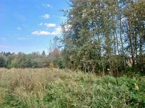 Участок в Московская область, Сергиево-Посадский городской округ, с. ... - Фото 1