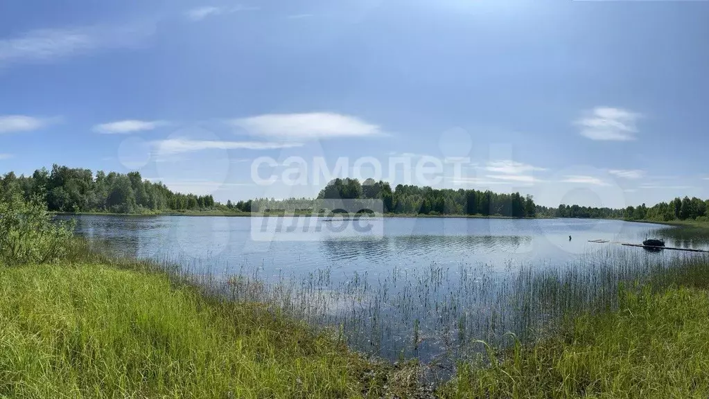 Участок 16,5 сот. (ИЖС) - Фото 0
