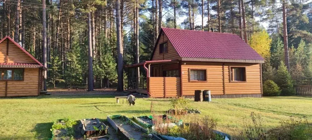 Дом в Томская область, Шегарский район, д. Кулманы  (18 м) - Фото 1