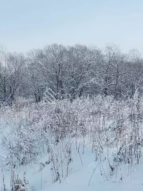 Участок в Сахалинская область, Южно-Сахалинск Ласточка СДТ,  (8.0 ... - Фото 0