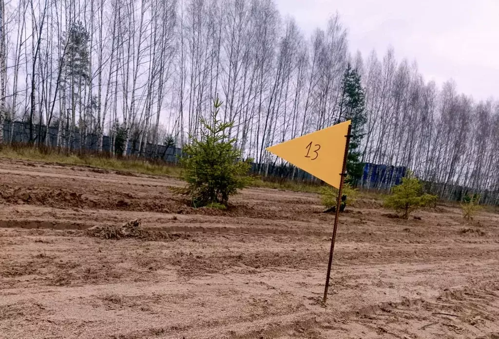 Участок в Тверская область, Конаковский муниципальный округ, Волжские ... - Фото 2