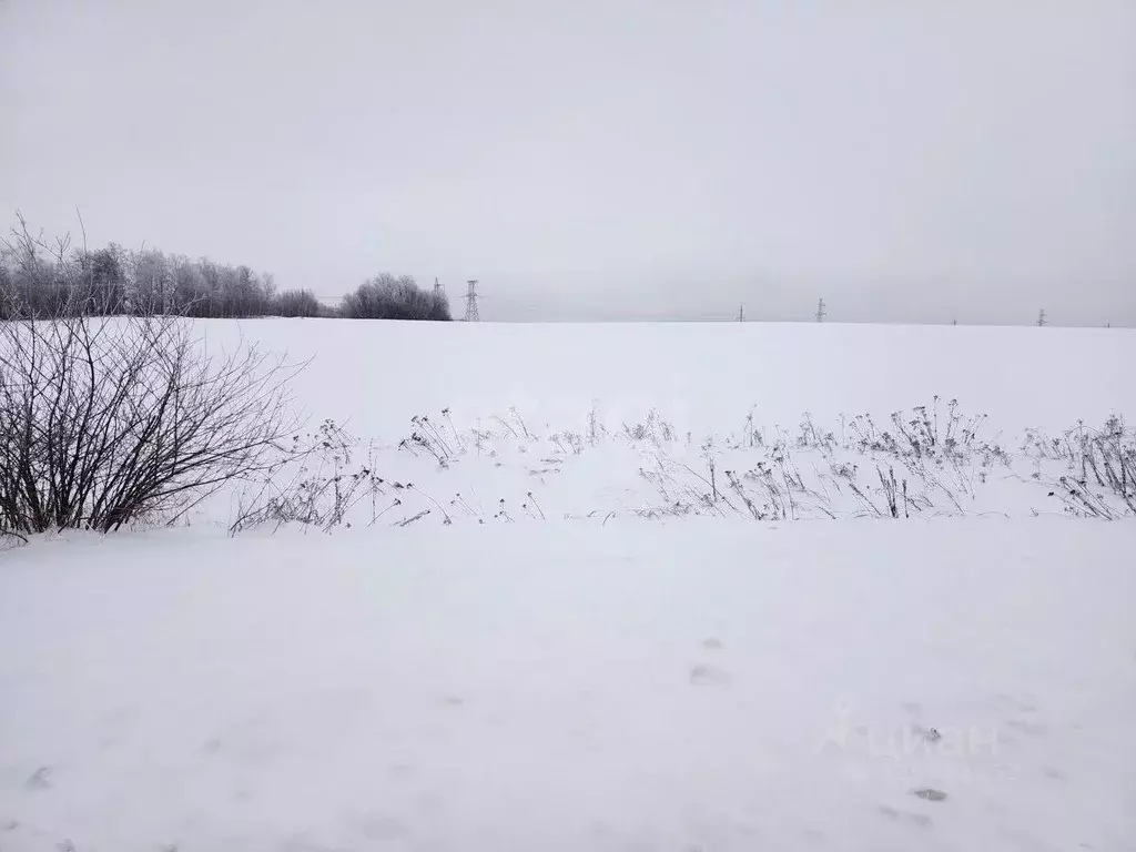 Участок в Брянская область, Брянский район, с. Глинищево ул. П.М. ... - Фото 2