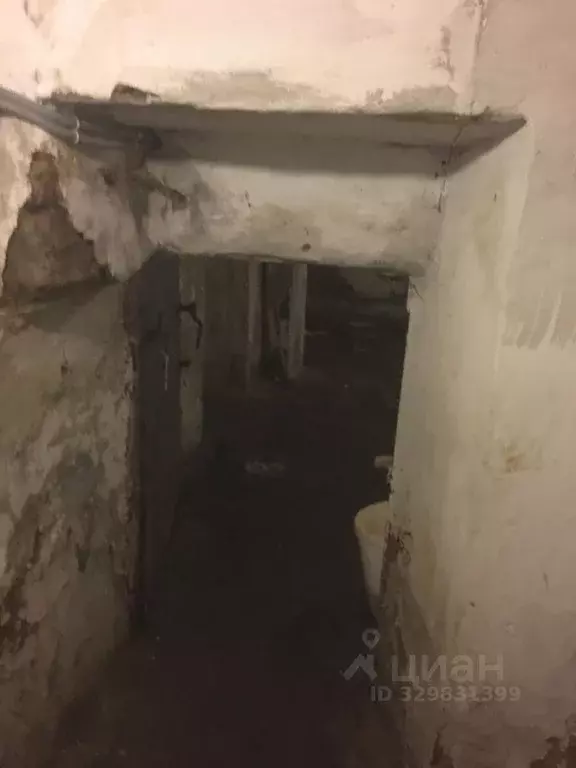 Помещение свободного назначения в Челябинская область, Челябинск ул. ... - Фото 2