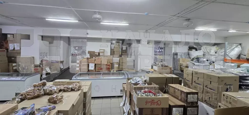 Торговая площадь в Новосибирская область, Новосибирск Бердское ш., ... - Фото 1