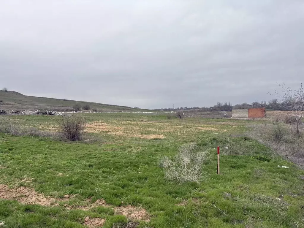 Участок в Волгоградская область, Светлоярский район, Червленовское ... - Фото 2