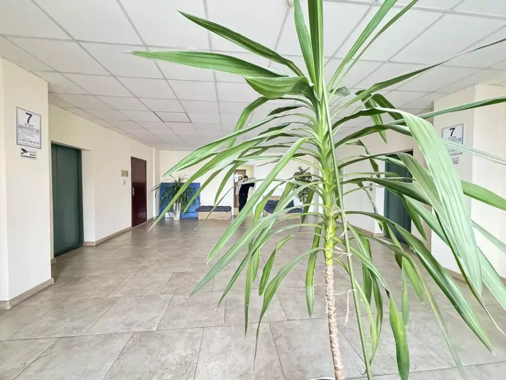 Офис в Ростовская область, Ростов-на-Дону Троллейбусная ул., 24/2в (87 ... - Фото 2