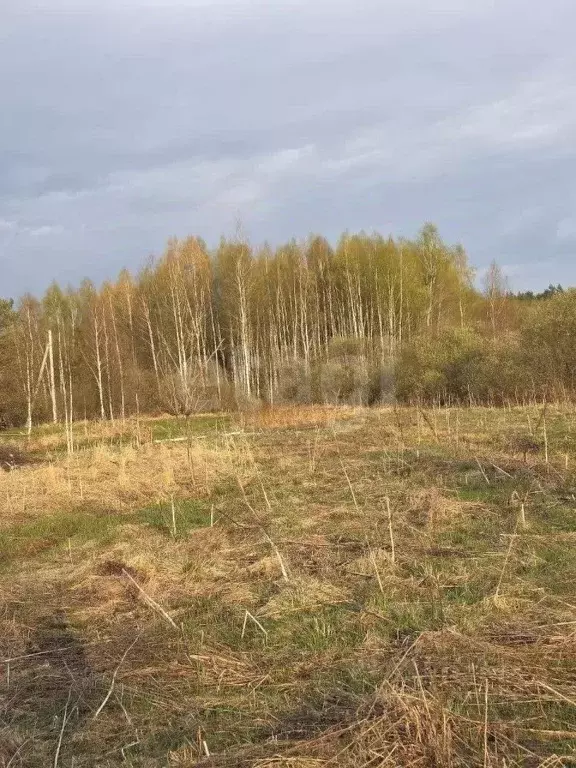 Участок в Калужская область, Дзержинский район, Галкино с/пос  (322.78 ... - Фото 2