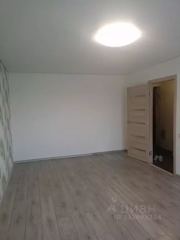 Комната Брянская область, Брянск ул. Костычева, 62 (19.5 м) - Фото 2