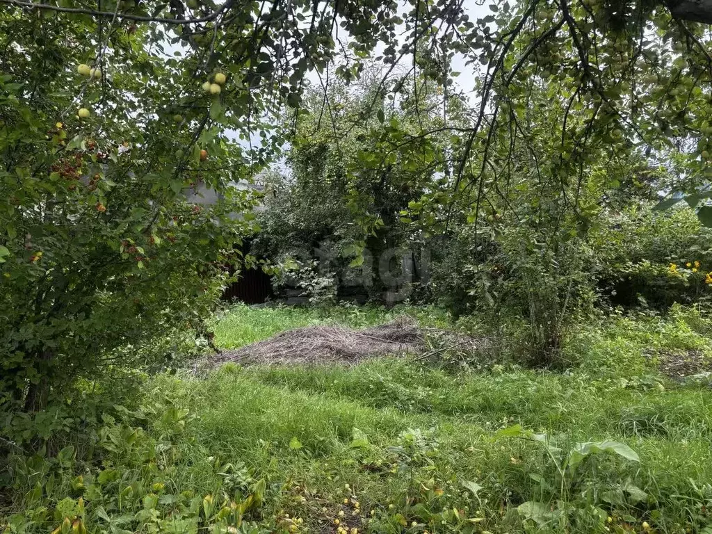 Участок в Тюменская область, Тюмень Строитель-1 СНТ, ул. Дружбы, 99 ... - Фото 1