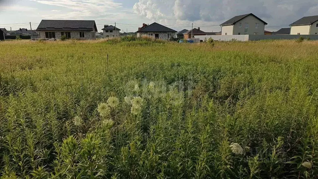 Участок в Калининградская область, Гурьевский муниципальный округ, ... - Фото 1