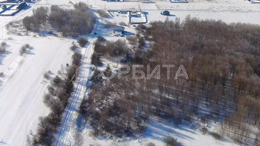 Участок в Тюменская область, Тюменский район, с. Борки  (40.0 сот.) - Фото 0