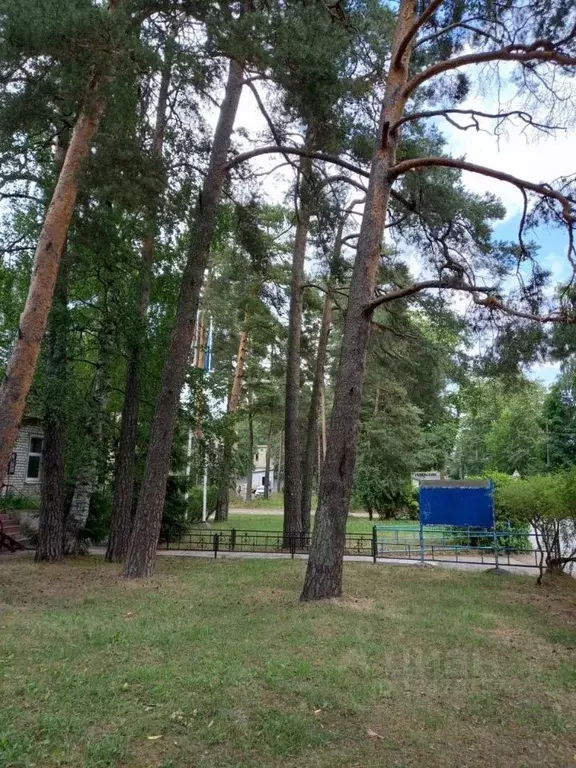 Купить Квартиру В Большой Ижоре Ломоносовского Района