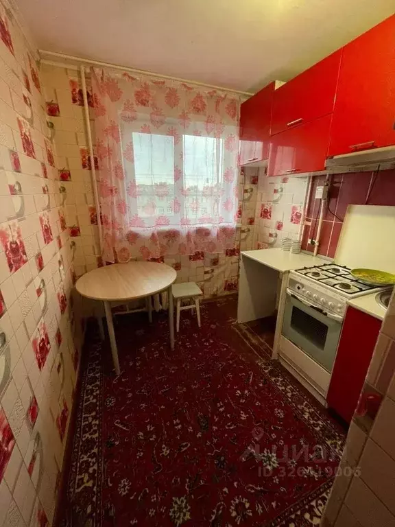 1-к кв. Курганская область, Курган ул. Радионова, 50 (30.0 м) - Фото 1