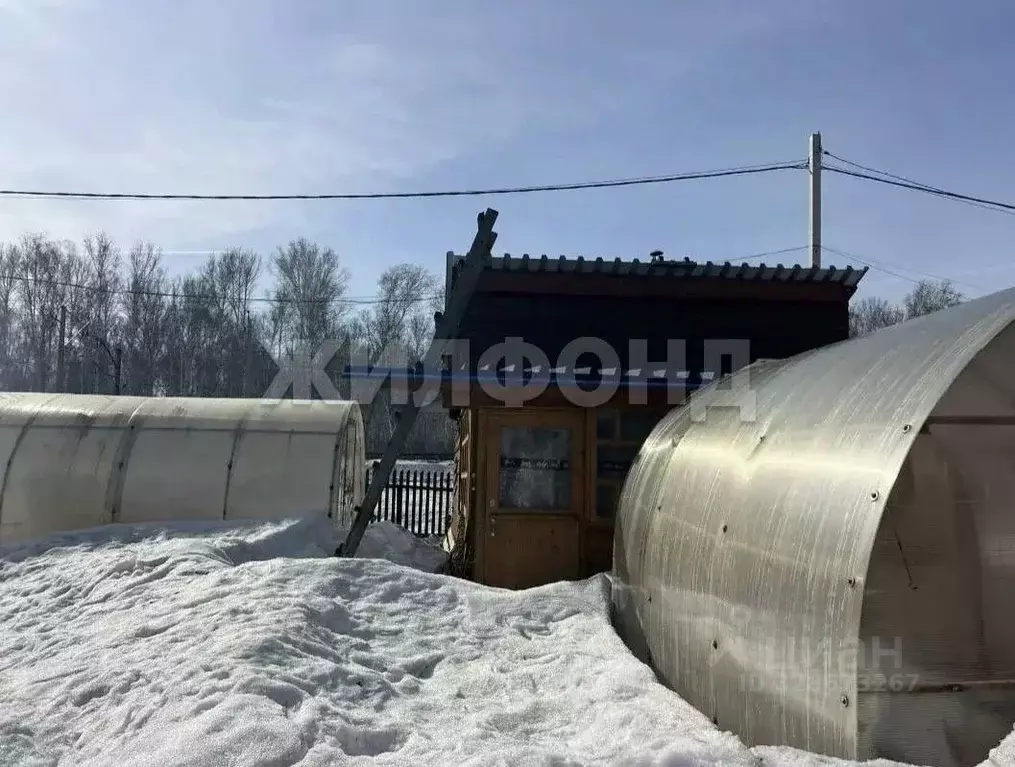 Дом в Новосибирская область, Тогучинский район, Репьевский сельсовет, ... - Фото 1