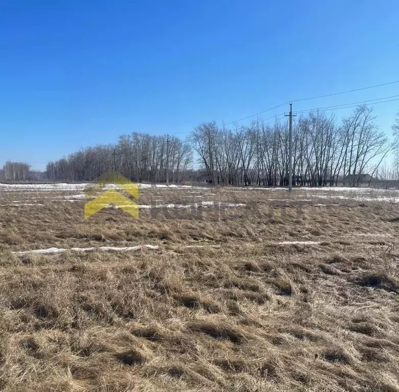 Участок в Омская область, Омский район, с. Усть-Заостровка Заозерная ... - Фото 1