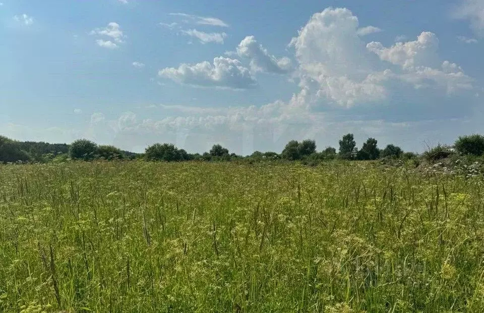 Участок в Московская область, Раменский городской округ, пос. ... - Фото 1