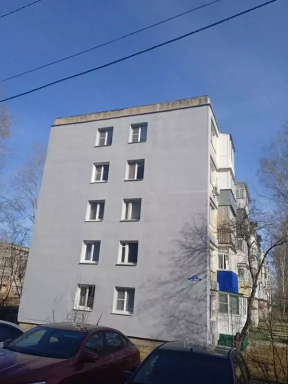 2-к кв. Нижегородская область, Арзамас ул. Мира, 21/2 (46.9 м) - Фото 0