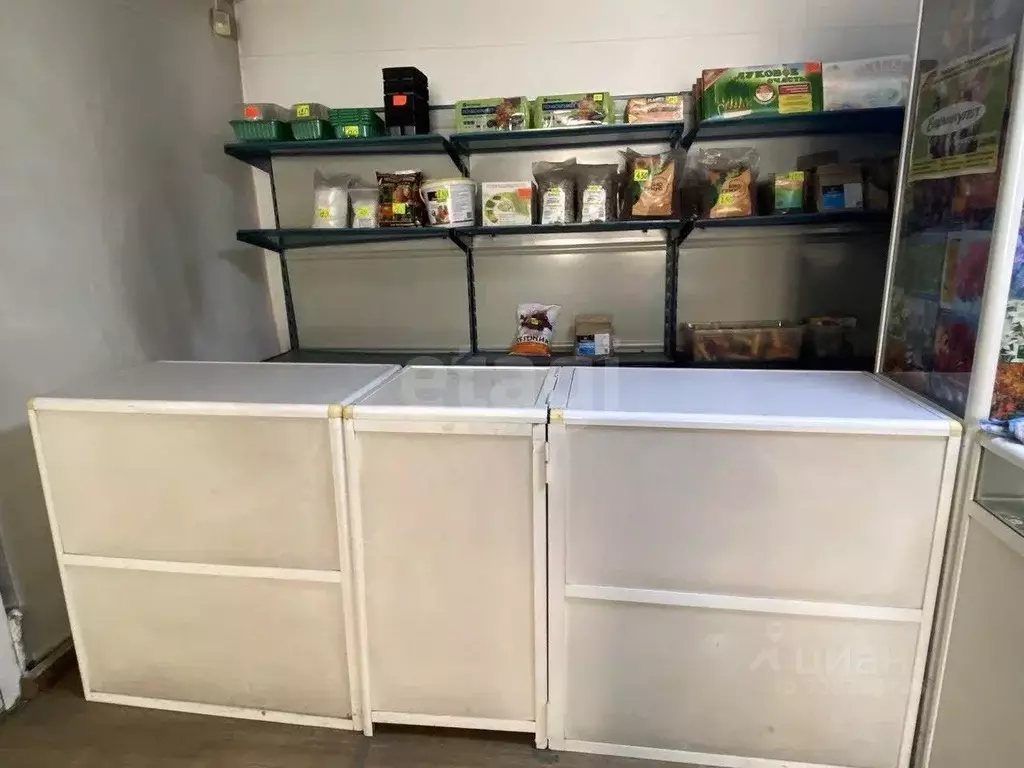 Торговая площадь в Бурятия, Улан-Удэ ул. Терешковой, 20 (31 м) - Фото 1