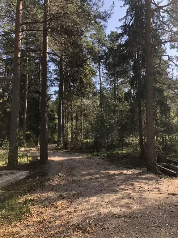 Участок в Ленинградская область, Луга  (16.0 сот.) - Фото 2