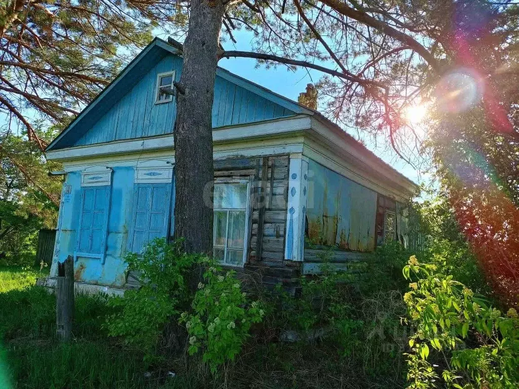 Дом в Амурская область, Благовещенский район, с. Гродеково Амурская ... - Фото 0