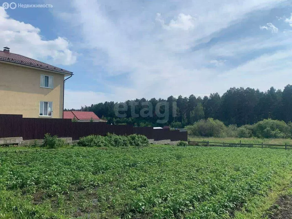 Участок в село Пивовариха, Набережная улица (7.61 м) - Фото 1