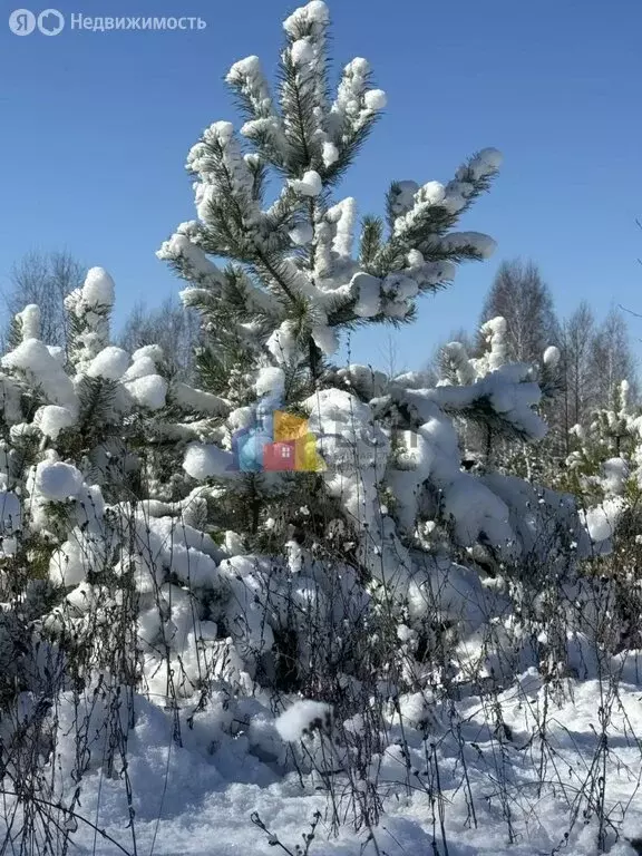 Участок в Тульская область, городской округ Тула, деревня Комаревка, ... - Фото 2