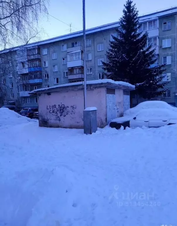 Помещение свободного назначения в Новосибирская область, Новосибирск ... - Фото 0